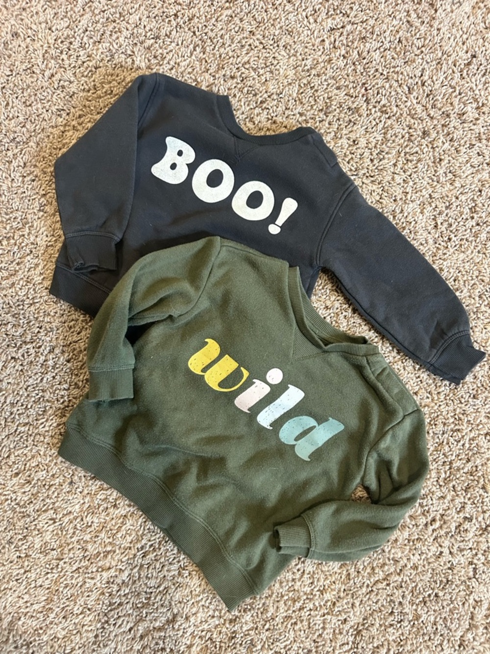 Little co sweatshirts